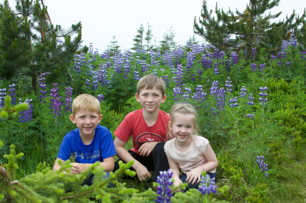 Iceland with Kids